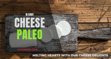 Unraveling the Paleo Mystery: Is Goat Cheese a Friend or Foe?