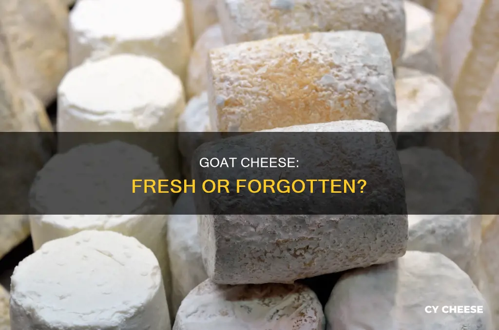 is goat cheese past