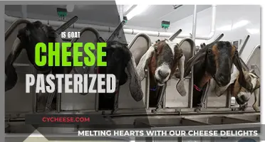 Goat Cheese: Unpasteurized or Pasteurized? Unraveling the Mystery