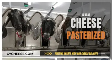 Goat Cheese: The Truth About Pasteurization