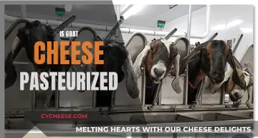 Unraveling the Mystery: Is Goat Cheese Pasteurized?