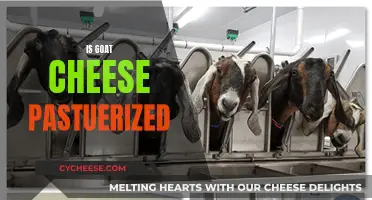 Goat Cheese: Pasteurization Process and Benefits Explained