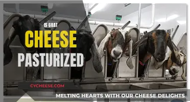 Goat Cheese: Pasteurization Process and Its Benefits