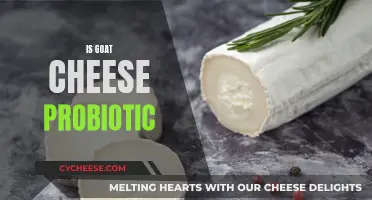 Uncover the Probiotic Power of Goat Cheese: A Nutritional Boost