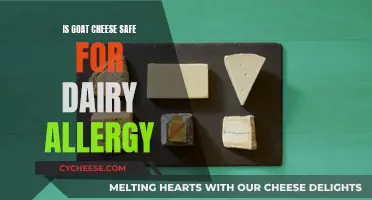 Goat's Milk Cheese: A Dairy-Free Allergy Option?