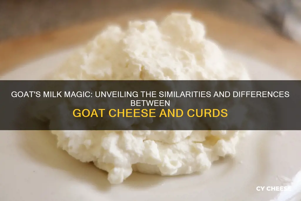 is goat cheese similar to cheese curds