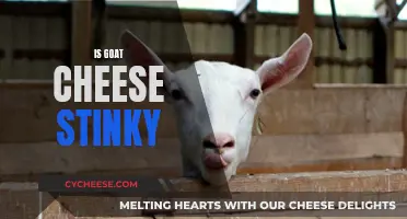 Unveiling the Smell: Is Goat Cheese Stinky?