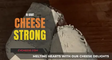 Goat Cheese: A Strong and Pungent Delight?