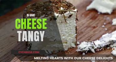 The Tangy Twist: Exploring the Zesty Side of Goat Cheese