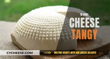 Goat Cheese: A Tangy Twist on Dairy