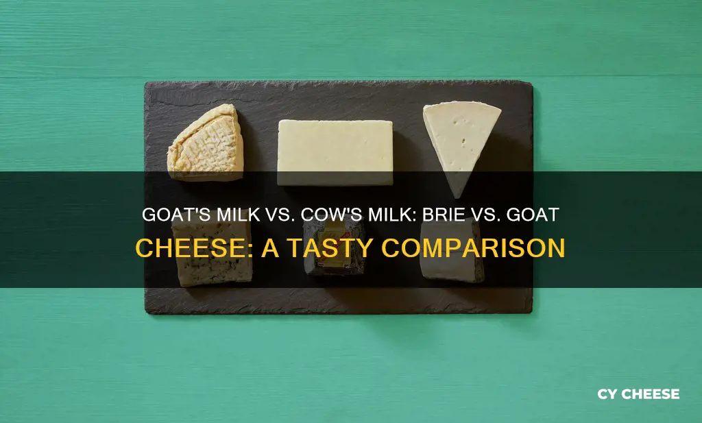 is goat cheese vs brie