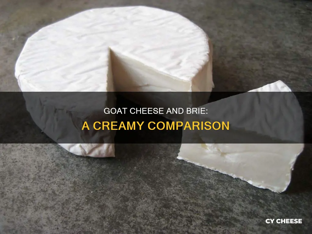 is goat cheese vs brie