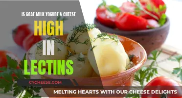 Goat Milk Yogurt and Cheese: High in Lectins?