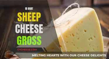 Is Goat's Milk Cheese an Unappetizing Choice?