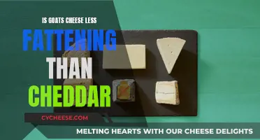 Goat's Cheese: A Healthier Choice Than Cheddar?