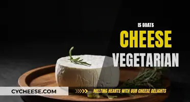 Unraveling the Mystery: Is Goat's Cheese Vegan-Friendly?