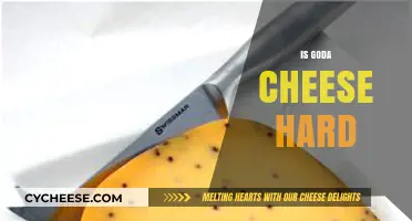 Is Gouda Cheese Hard? Exploring Its Texture and Characteristics