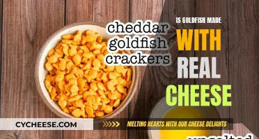 Goldfish Crackers: Real Cheese or Not?