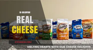Is Goldfish Real Cheese? Unraveling the Snack's Cheesy Mystery