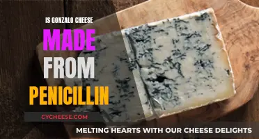 Gonzalo Cheese and Penicillin: Any Connection?