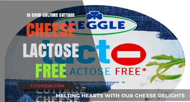 Is Good Culture Cottage Cheese Lactose-Free? A Complete Guide