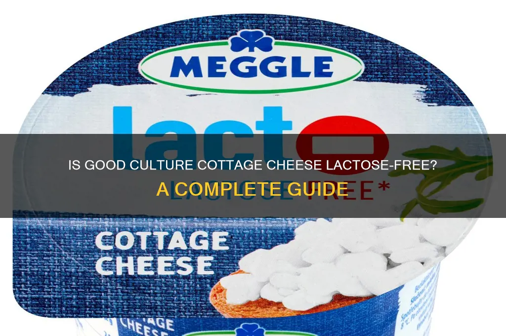 is good culture cottage cheese lactose free