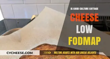 Is Good Culture Cottage Cheese Low FODMAP? A Dietary Guide