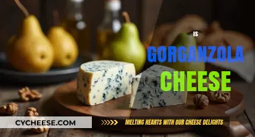 Exploring Gorgonzola: Is This Blue Cheese Right for Your Palate?