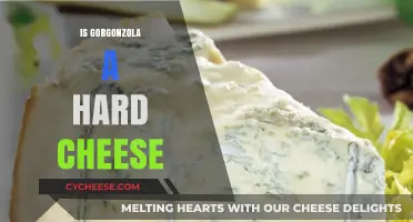 Is Gorgonzola a Hard Cheese? Unraveling the Texture Truth