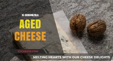 Exploring Gorgonzola: The Aging Process of This Iconic Blue Cheese