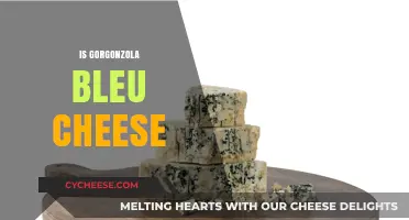 Gorgonzola vs. Bleu Cheese: Unraveling the Differences and Similarities
