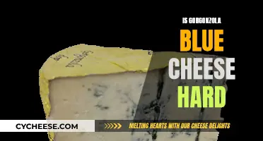 Gorgonzola Blue Cheese: Is It Hard or Soft?