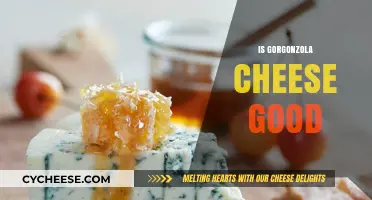 Is Gorgonzola Cheese Good? Exploring Its Flavor, Health Benefits, and Uses