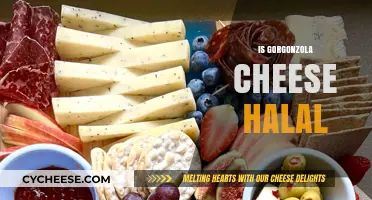 Is Gorgonzola Cheese Halal? Exploring Its Ingredients and Certification