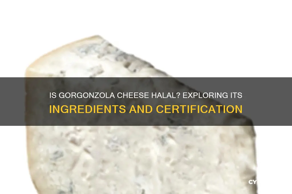 is gorgonzola cheese halal
