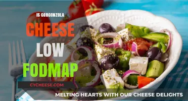 Is Gorgonzola Cheese Low FODMAP? A Digestive-Friendly Guide