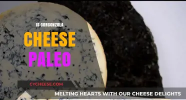 Is Gorgonzola Cheese Paleo? Unraveling Dairy's Place in the Diet