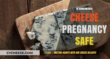 Pregnancy and Gorgonzola: Is This Cheese Safe to Eat?