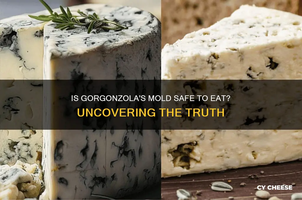is gorgonzola cheese