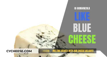 Gorgonzola and Blue Cheese: What's the Difference?