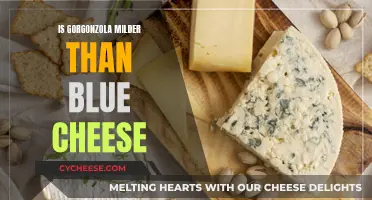 Gorgonzola vs Blue Cheese: Which Has a Milder Flavor?