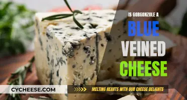 Gorgonzola: A Distinctive Blue-Veined Cheese Delicacy