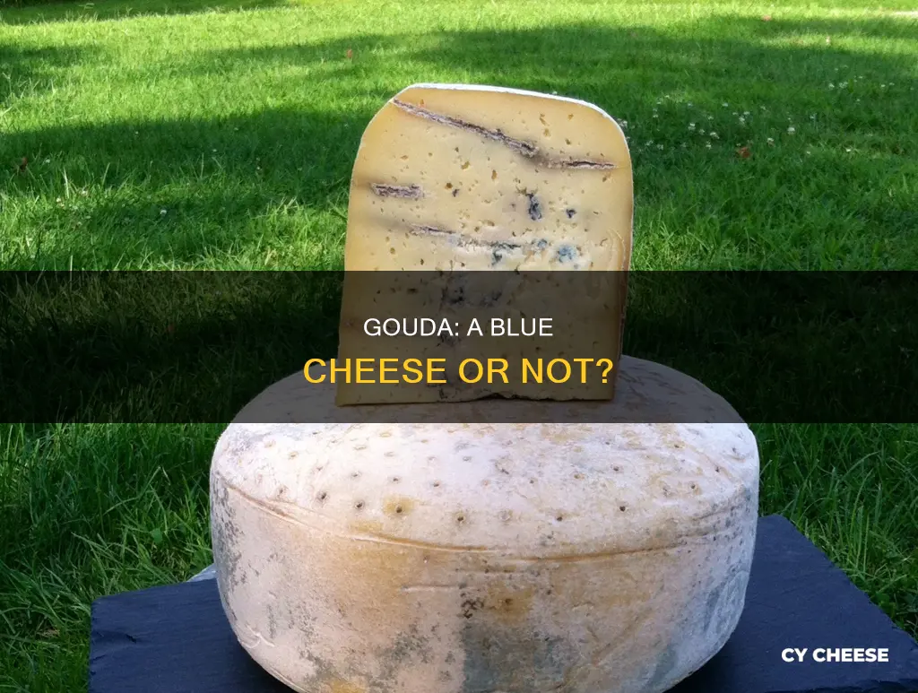 is gouda a blue cheese
