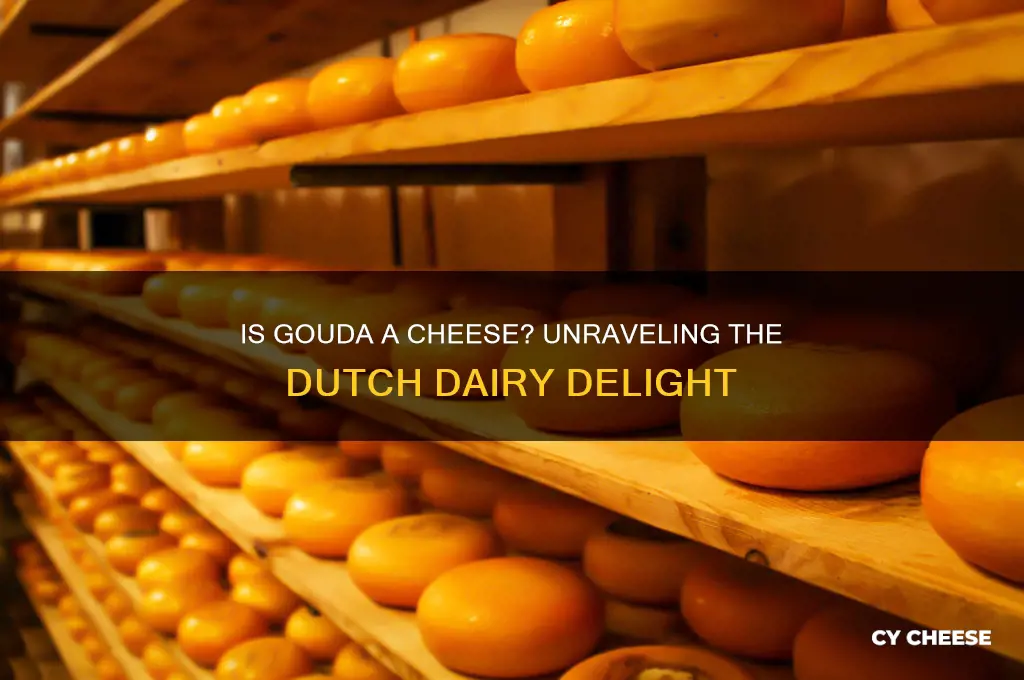 is gouda a cheese