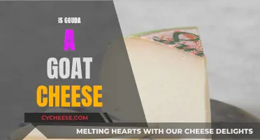 Unraveling the Mystery: Is Gouda a Goat Cheese?