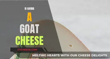Gouda Cheese: Goat or Not?