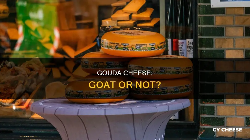 is gouda a goat cheese