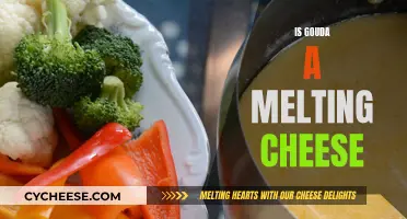 Gouda's Melting Abilities: A Cheesy Investigation