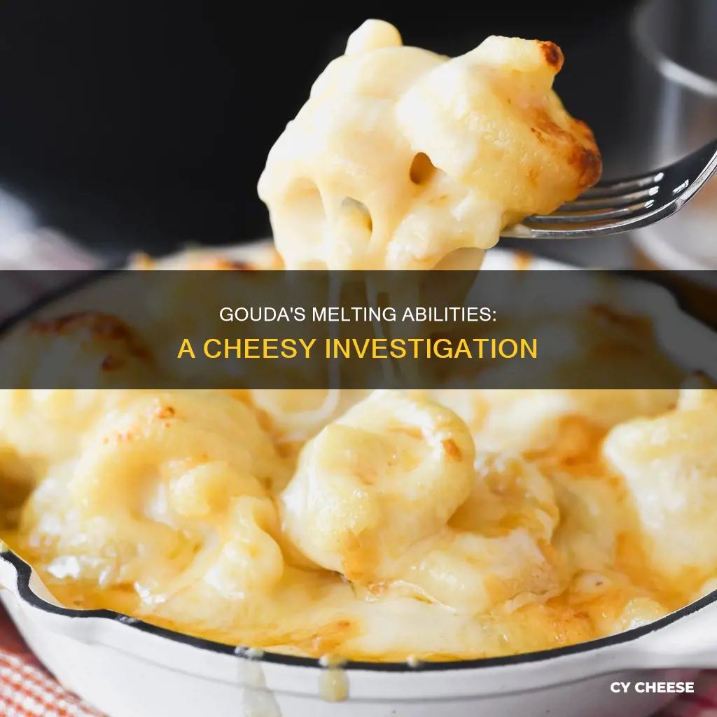 is gouda a melting cheese