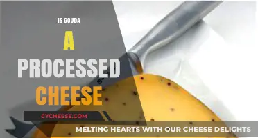 Is Gouda Processed Cheese? Unraveling the Truth Behind This Dutch Delight